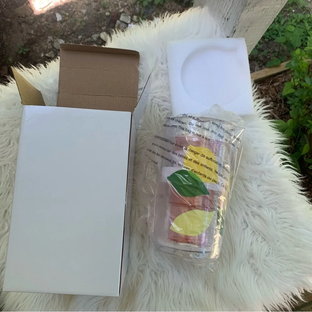 Kate Spade Lemon Pitcher 58 oz & 2 Stackable 12 oz Tumblers Acrylic Set
